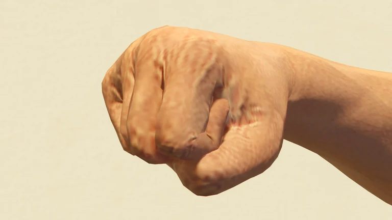 Fists weapon render — Grand Theft Auto V