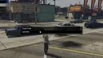 Invincibility cheat