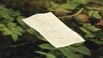 Letter Scraps