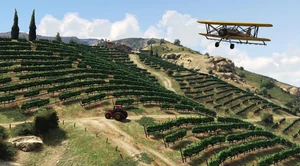 Marlowe Vineyards Estate