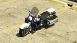 Police Maverick