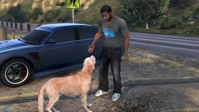 Risk Assessment GTA V