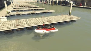 Seashark Lifeguard